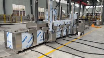 continuous frying machine