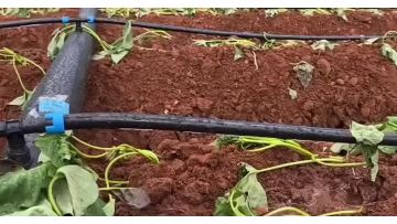 drip irrigation pipe