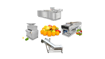 Lemon Cleaning and Juicing Production Line
