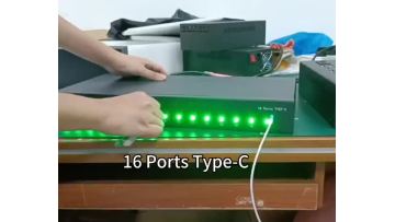 16 Ports Type-C 