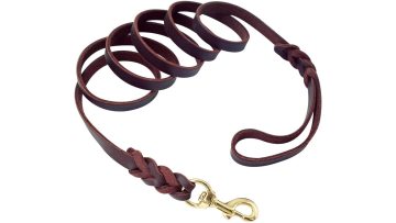 Leather Dog Leash