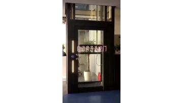 Home elevator video 2