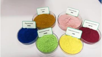 Fruit Juice Powder