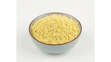 Proso millet