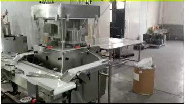 Chicken essence piece tablet press production line