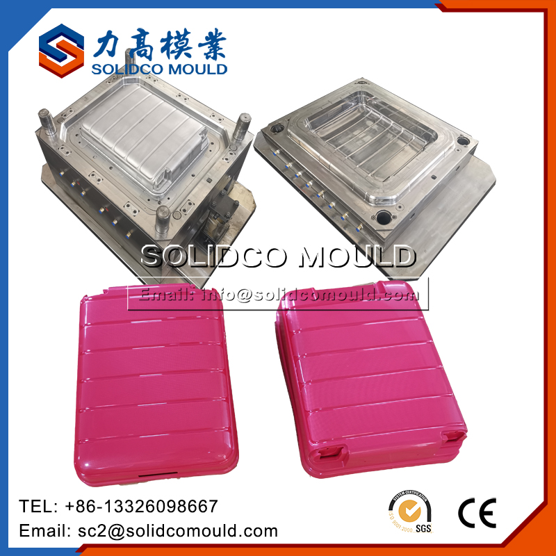 Plastic injection luggage box mold