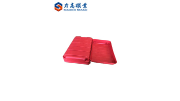 luggage box mould 