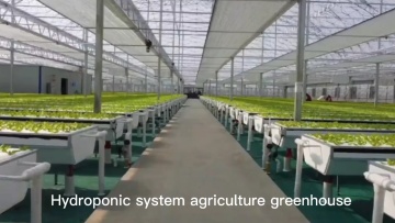 China Factory Lettuce Polycarbonate Sheet multi span Agricultural Greenhouses with Factory Wholesale Price1