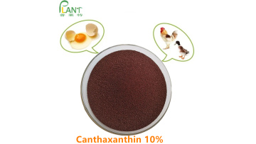 Canthaxanthin powder 10%