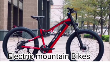 electric mountain bikes TX19~1