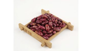 kidney beans2