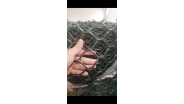 Hebei factory Extruded Plastic Plain Nets/ Flexible PlasticMesh/Plastic Flat Mesh low price1