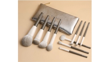 Makeup Brush set