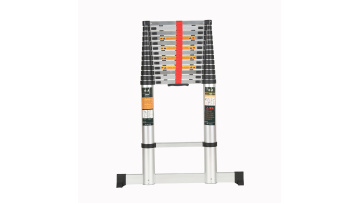 Telescopic folding ladder