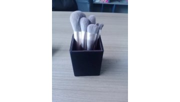 Comestic Brush Set