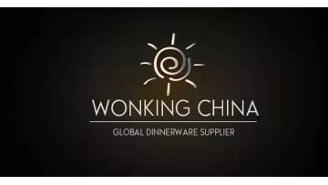 Henan WonkingChina I/E Co., Ltd.