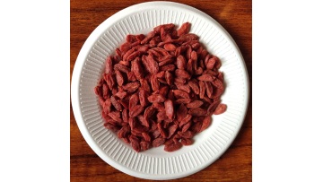 goji berry for sale-01