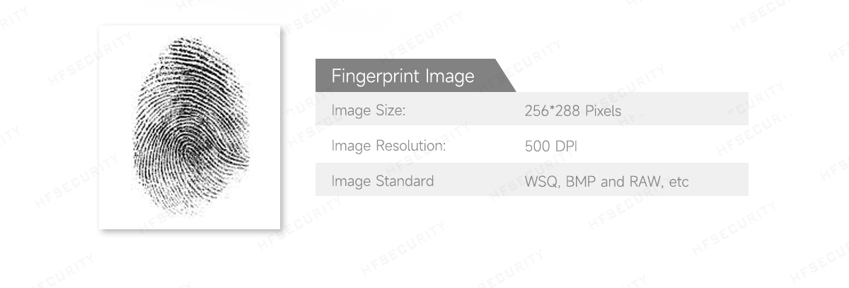 HF4000 USB Optical Fingerprint Scanner