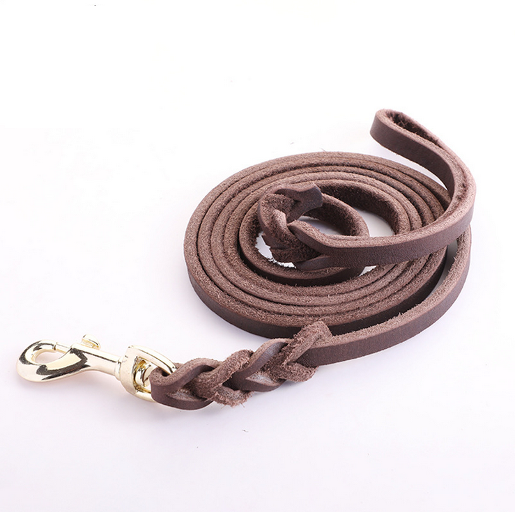 Brown Dog Leash Belt