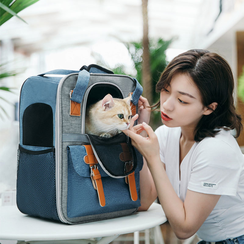 Petsmart Dog Backpack