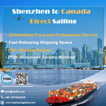 Sea Freight From Shenzhen To Canada