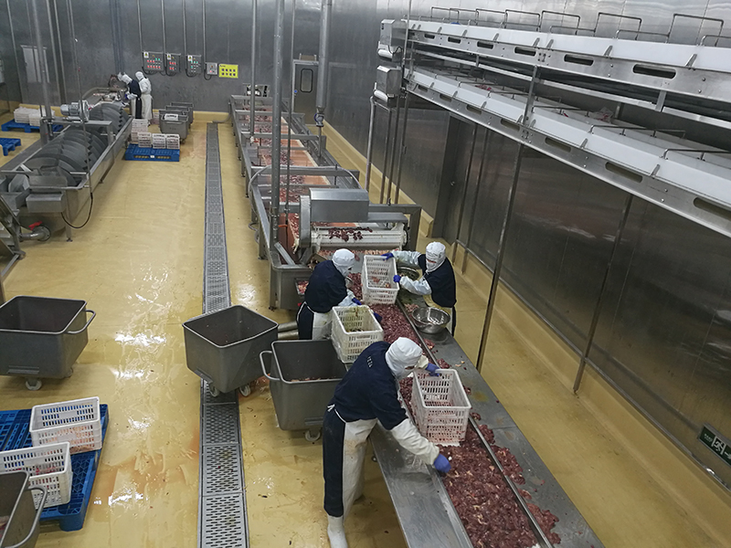 poultry processing line of belt conveyor