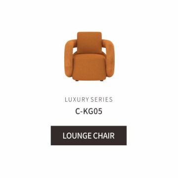 Contemporary Lounge Chair Elegant leisure chair