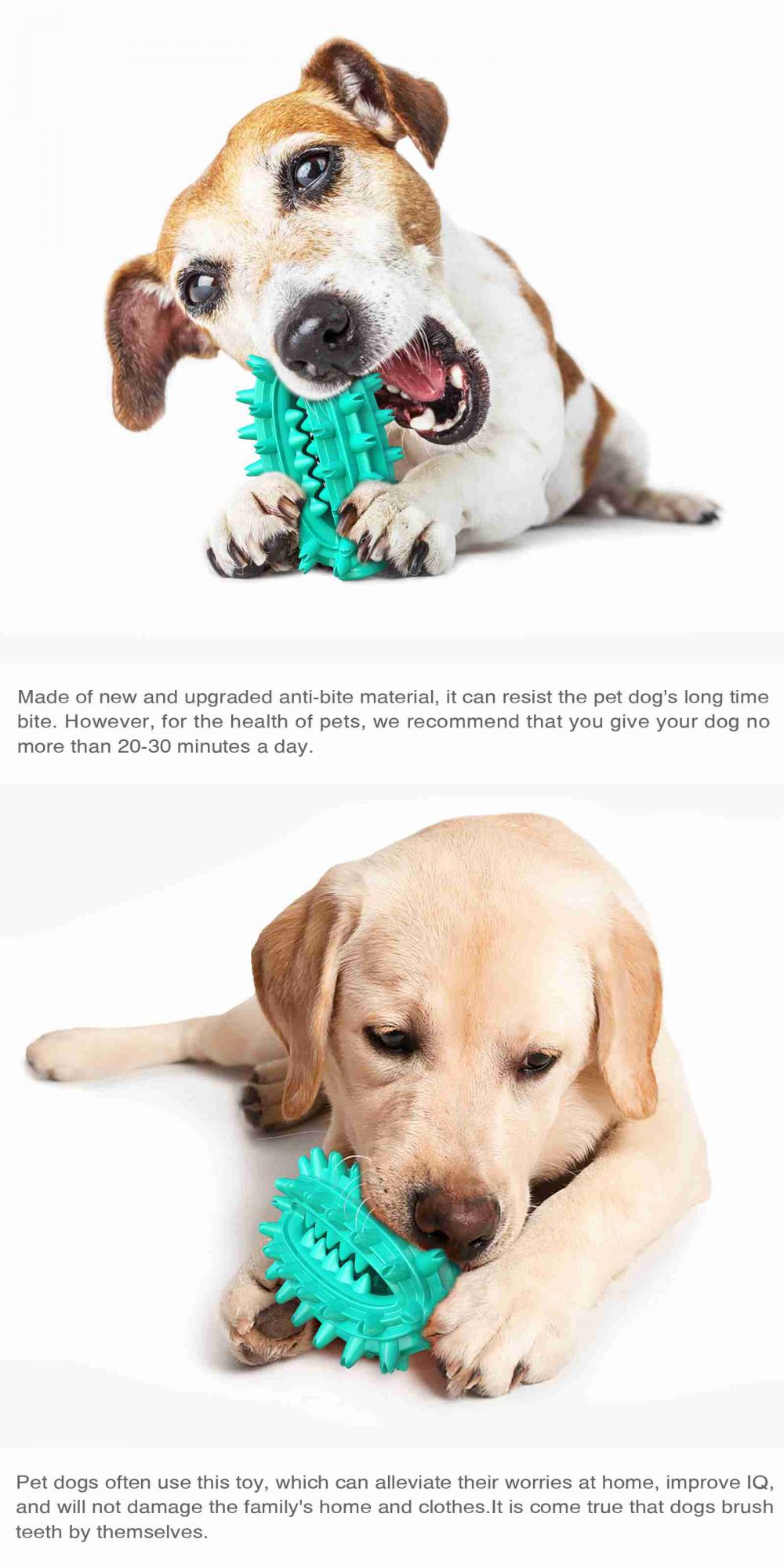 Dog Toy Robot