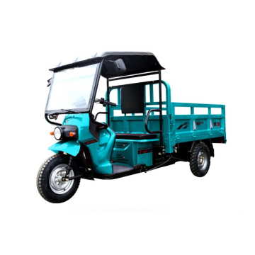 60V/72V3000W Urban heavy-duty Electric Tricycle