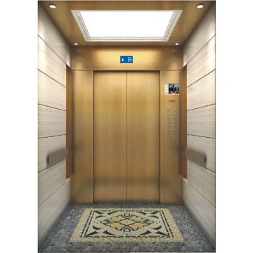 Stainless Steel Passenger Elevator With Best Price