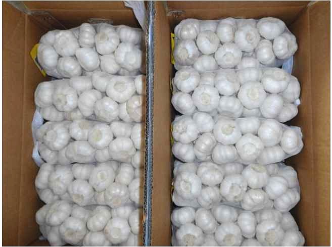 Fresh Pure White Garlic For Export Garlic Long Mesh Bag Carton Packing