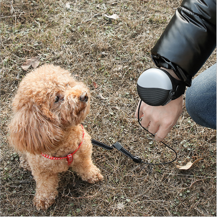 Dog Leash Bungee