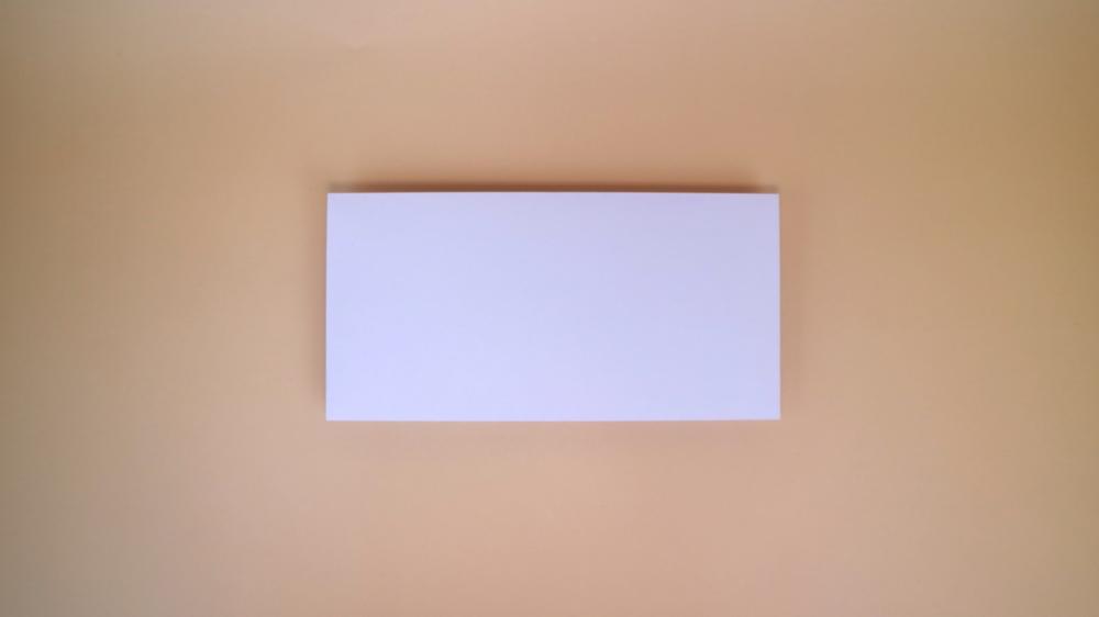 Dl White Gummed Wallet Envelope