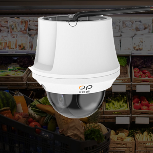 HD PTZ Camera For Grocery Inspection