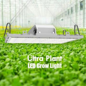 660nm LED Indoor All Deep Red Plant Light