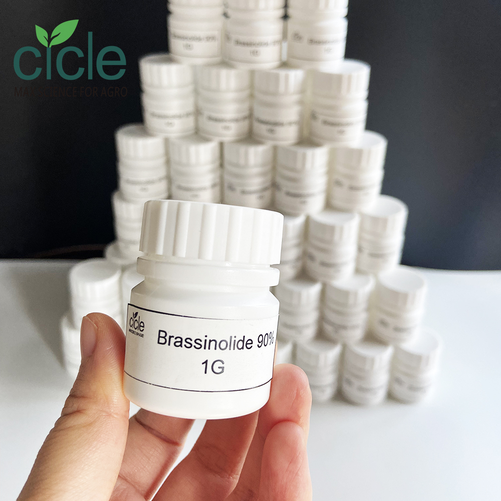 Brassinolide 5