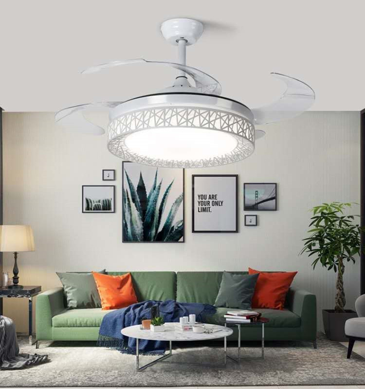 viatnam ceiling fan