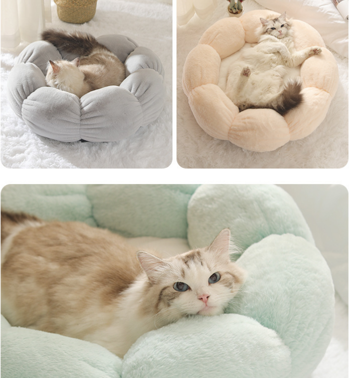 Cat Kennel Flower Png