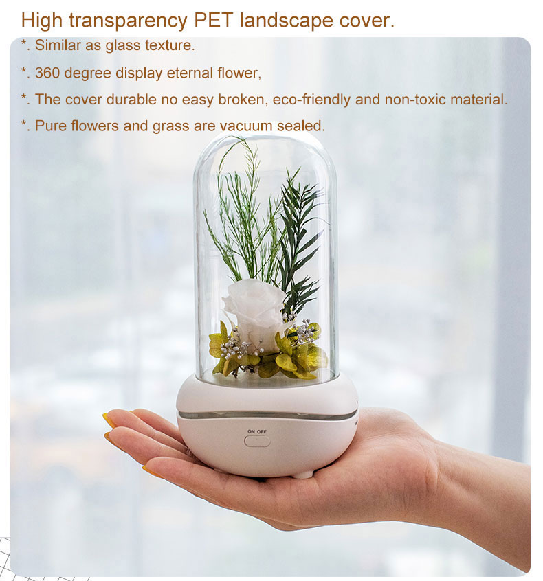 Portable Waterless Diffuser