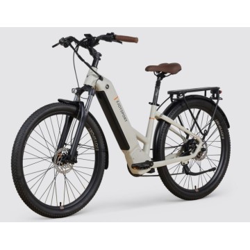 Customized Electric Bicycle For Commuter