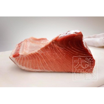 Frozen High Grade Tuna Fish Blocks