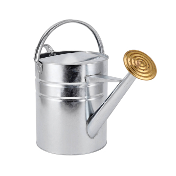 10 Litre Galvanized Watering Can