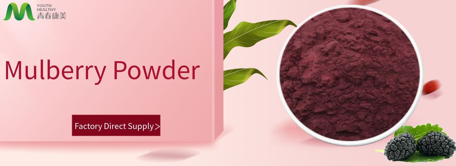 Mulberry Powder 1