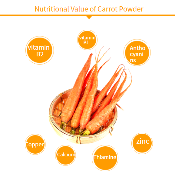 Carrot Powder 2'