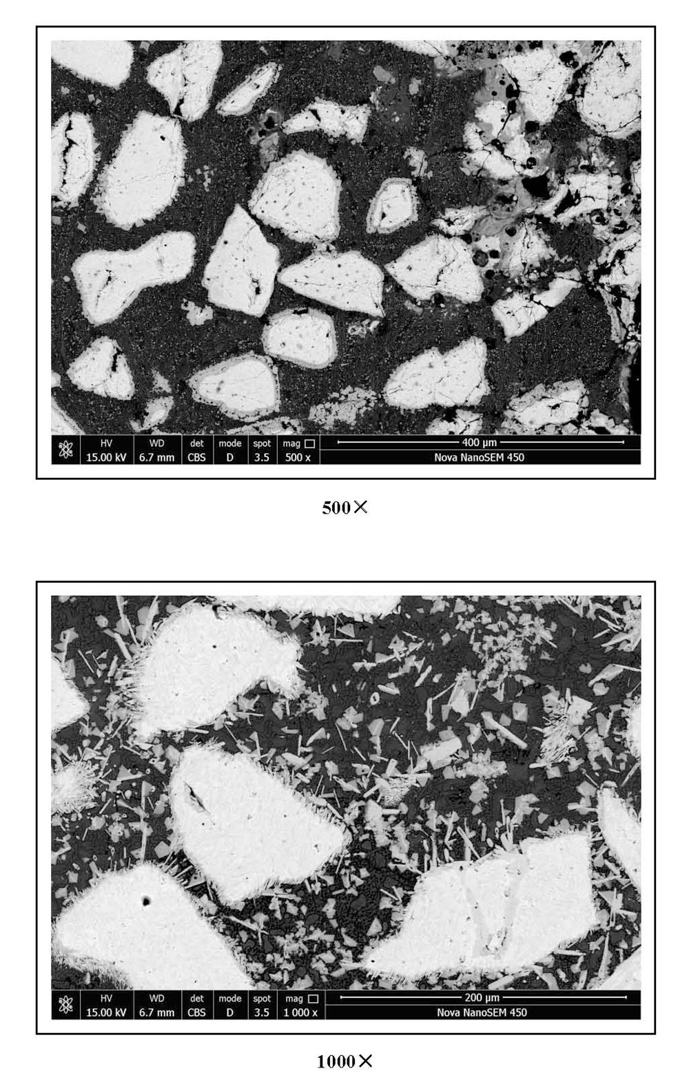 Metallographic Pictures_Tungsten Carbide Overlay Plate (1)
