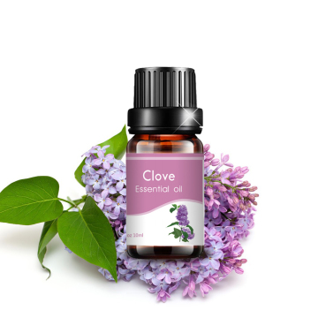 100% pure natural clove essential oil for massage aroma