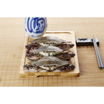 Frozen blue swimming crab Portunus trituberculatus whole round