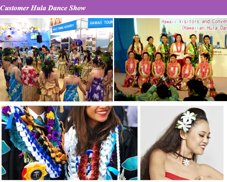 Hula Dance Show