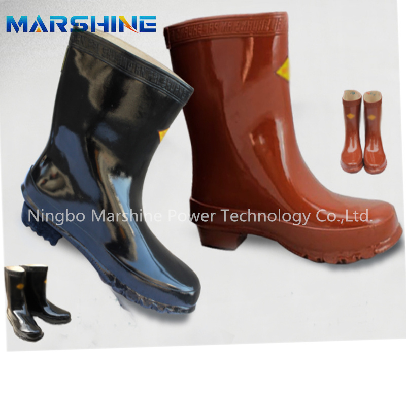 Insulated Safety Boots  (1)