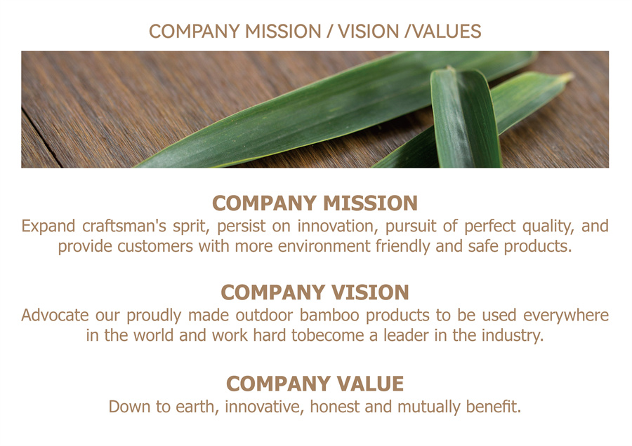 company vision 